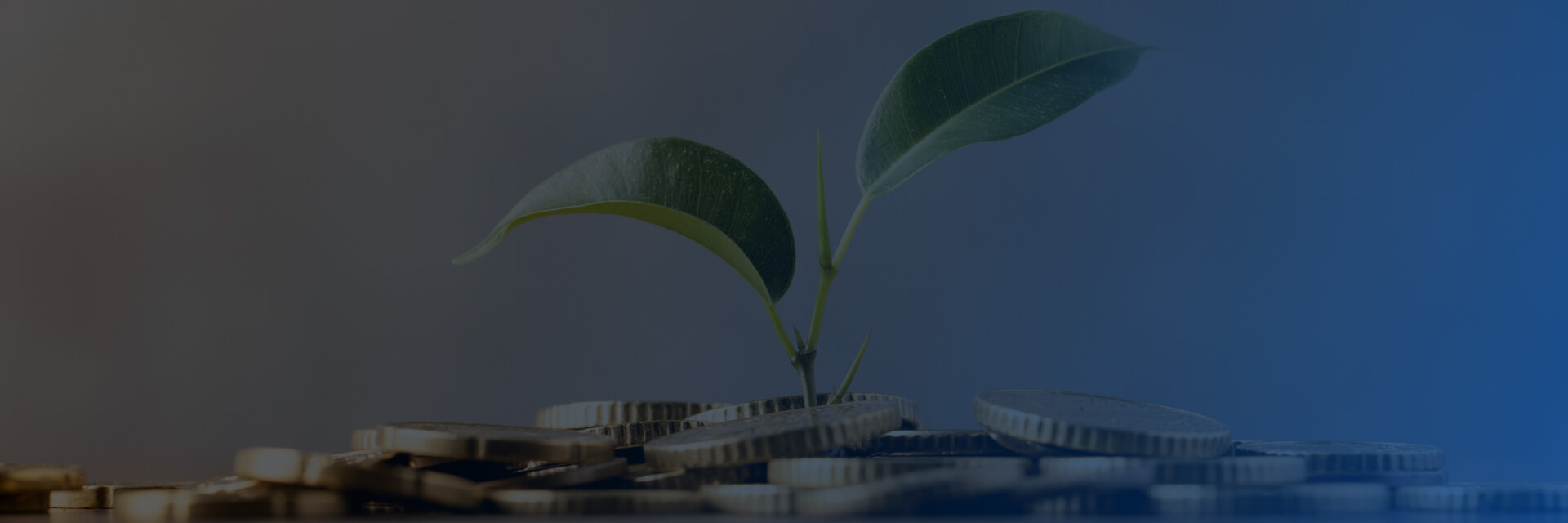 Инвестиционный Due Diligence