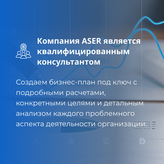Разработка бизнес-плана от консалтинговой компании в Кыргызстане ASER
